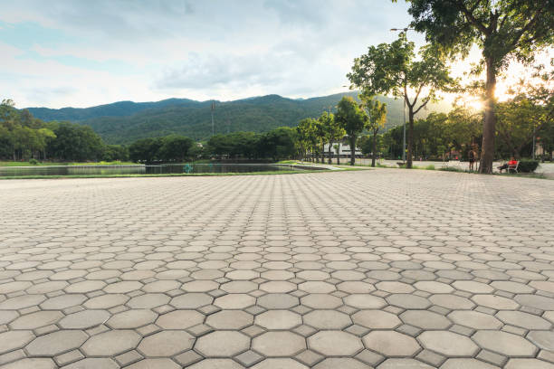 Best Driveway Pavers Near Me  in Venice Gardens, FL