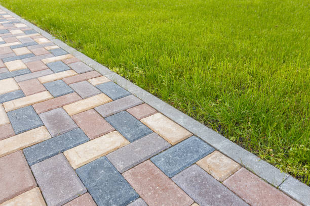 Best Brick Driveway Pavers  in Venice Gardens, FL